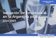 Transaction Advisory Services Valuación de Empresas en la Argentina post-canje Junio 2005