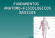 FUNDAMENTOS ANATOMO-FISIOLOGICOS BÁSICOS. DEFINICIÓNDEFINICIÓN Anatomía = Estudio de la estructura orgánica y relaciones. Anatomía = Estudio de la estructura