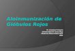 Aloinmunización de Glóbulos Rojos Dr. Gustavo Fonseca Universidad de Costa Rica Medicina Maternofetal-HCG 2011