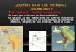 ¿QUIÉNES ERAN LOS INDÍGENAS COLOMBIANOS? LOS CHIBCHAS ( familia lingüística) Se cree que vinieron de Centroamérica. Es quizás la más importante de cuantas
