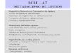 BOLILLA 7 METABOLISMO DE LIPIDOS Digestión, Absorción y Transporte de lípidos - Acción de lipasas y sales biliares - Resíntesis de triglicéridos en célula