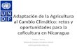 Adaptación de la Agricultura al Cambio Climático: retos y oportunidades para la caficultura en Nicaragua Carlos J. Pérez Oficial de Cambio Climático-PNUD