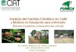 Dr. Carlos Zelaya & Dr. Peter Laderach, 24 Y 25 DE MAYO, 2012 Estelí, Nicaragua Impacto del Cambio Climático en Café y Medidas de Adaptación para enfrentarlo