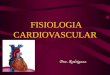 FISIOLOGIA CARDIOVASCULAR Dra. Rodriguez. FISIOLOGIA CARDIOVASCULAR El sistema circulatorio está constituido por el corazón, los vasos sanguíneos y la