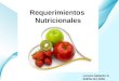 Page 1 Lorena Gallardo G. ENFM-121 2009 Requerimientos Nutricionales