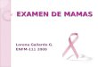 EXAMEN DE MAMAS Lorena Gallardo G. ENFM-111 2009