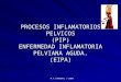 M.T.CARDEMIL J-2009 PROCESOS INFLAMATORIOS PELVICOS (PIP) ENFERMEDAD INFLAMATORIA PELVIANA AGUDA. (EIPA)