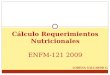 Cálculo Requerimientos Nutricionales ENFM-121 2009 LORENA GALLARDO G