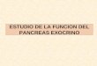 ESTUDIO DE LA FUNCION DEL PANCREAS EXOCRINO. Funciones del páncreas Endocrina Exocrina