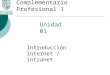 Unidad 01 Introducción Internet / intranet Complementario Profesional 1