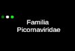 Familia Picornaviridae. Picornavirus Familia Picornaviridae es una de las más extensas. Son virus pequeños (pico) con ARN y una estructura de cápside
