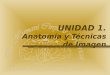 UNIDAD 1. Anatomía y Técnicas de Imagen. Departamento de Anatomía Humana, U. A. N. L. Sistema esquelético Se compone de huesos y cartílagos. Hueso - Tejido