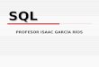 SQL PROFESOR ISAAC GARCÍA RÍOS. Introducción a SQL ¿Qué significa SQL? ¿Qué es el SQL?