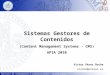 Servicio de Informática y Comunicaciones - Universidad de Zaragoza Sistemas Gestores de Contenidos (Content Management Systems - CMS) APIA 2010 Victor