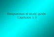 Respuestas al study guide Capítulos 1-3. SER SOYSOMOS ERES ESSON