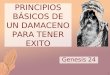 1 PRINCIPIOS BÁSICOS DE UN DAMACENO PARA TENER EXITO Genesis 24