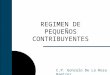 REGIMEN DE PEQUEÑOS CONTRIBUYENTES C.P. Gonzalo De La Rosa Ramirez