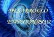 DESARROLLO EMBRIONARIO. DESARROLLO INDIRECTO: Metamorfosis DIRECTO: membranas embrionarias Amnios Alantoides Corion Saco vitelino