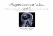 ¿ Magnetoencefalo … qué? Técnicas electromagnéticas para el estudio de la funcionalidad cerebral." Alejandra Carboni Valencia-2009