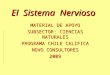 El Sistema Nervioso MATERIAL DE APOYO SUBSECTOR: CIENCIAS NATURALES PROGRAMA CHILE CALIFICA NOVO CONSULTORES 2009