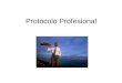 Protocolo Profesional. Ejercicio Escriba qué entiende por los siguientes conceptos: Protocolo Etiqueta Etiqueta social Etiqueta empresarial Ejecutivos