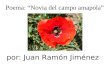 Por: Juan Ramón Jiménez Poema: Novia del campo amapola