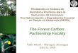 Piloteando un Sistema de Incentivos Positivos para la Reducción de Emisiones Por Deforestación y Degradación Forestal en Países en Desarrollo (REDD) The