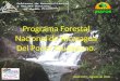 Programa Forestal Nacional de Nicaragua Del Poder Ciudadano. INAFOR, Agosto de 2008