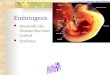 Embriogesis Desarrollo del Sistema Nervioso Central Periferico