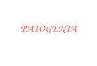 PATOGENIA. Patogenia 2 La patogenia o nosogenia es la secuencia de sucesos celulares y tisulares que tienen lugar desde el momento del contacto inicial