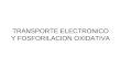 TRANSPORTE ELECTRONICO Y FOSFORILACION OXIDATIVA