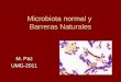 Microbiota normal y Barreras Naturales M. Paz UMG-2011