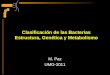 Clasificación de las Bacterias Estructura, Genética y Metabolismo M. Paz UMG-2011