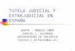 1 TUTELA JUDICIAL Y EXTRAJUDICIAL EN ESPAÑA UNIPE - BRASIL 2005 CARLOS L. ALFONSO UNIVERSIDAD DE VALENCIA Carlos.L.Alfonso@uv.es