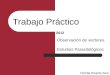Trabajo Práctico Observación de vectores. Estudios Parasitológicos Floridia Ricardo Ariel 2012