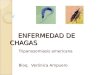 ENFERMEDAD DE CHAGAS ENFERMEDAD DE CHAGAS Tripanosomiasis americana Bioq. Verónica Ampuero