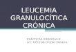 LEUCEMIA GRANULOCÍTICA CRÓNICA PRÁCTICAS DIRIGIDAS II LIC. HÉCTOR OVIDIO PARADA