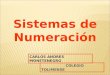 Sistemas de Numeración CARLOS ANDRES MONETENEGRO COLEGIO TOLIMENSE