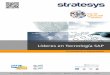 Stratesys - Presentación Corporativa - Jun2014 - ESP