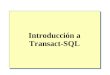 Introducción a Transact-SQL. Introducción E lenguaje de programación Transact-SQL Tipos de instrucciones de Transact-SQL Elementos de la sintaxis de Transact-SQL