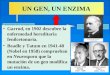UN GEN, UN ENZIMA Garrod, en 1902 descubre la enfermedad hereditaria fenilcetonuria. Beadle y Tatum en 1941-48 (Nobel en 1958) comprueban en Neurospora