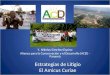 Estrategias de Litigio El Amicus Curiae Y. Nikolas Sánchez Espino Alianza para la Conservación y el Desarrollo (ACD) - Panamá
