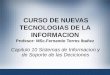 CURSO DE NUEVAS TECNOLOGIAS DE LA INFORMACION Profesor: MSc.Fernando Torres Ibañez Capitulo 10 Sistemas de Informacion y de Soporte de las Deciciones 1