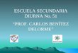 ESCUELA SECUNDARIA DIURNA No. 51 PROF. CARLOS BENÍTEZ DELORME