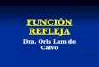 FUNCIÓN REFLEJA Dra. Oris Lam de Calvo. REGULACIÓN REFLEJA DE LA MUSCULATURA ESQUELÉTICA. Arco Reflejo (Elementos Anatómicos). Acto reflejo (función)