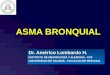 ASMA BRONQUIAL Dr. Américo Lombardo H. INSTITUTO DE NEUMOLOGÍA Y ALERGIAS - CSF UNIVERSIDAD DE PANAMÁ - FACULTAD DE MEDICINA