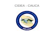 CIDEA - CAUCA. INTEGRANTES 1.Secretaria de Educación y Cultura del Cauca 2.Corporación Autónoma Regional del Cauca - CRC 3.Fundación Pro-cuenca Río las