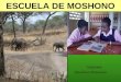 TANZANIA Agustinas Misioneras ESCUELA DE MOSHONO