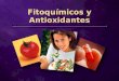 Fitoquímicos y Antioxidantes. ¿Qué son los fitoquímicos?