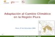 Programa Desarrollo Rural Sostenible – PDRS Adaptación al Cambio Climático en la Región Piura Piura, 07 de Diciembre 2009